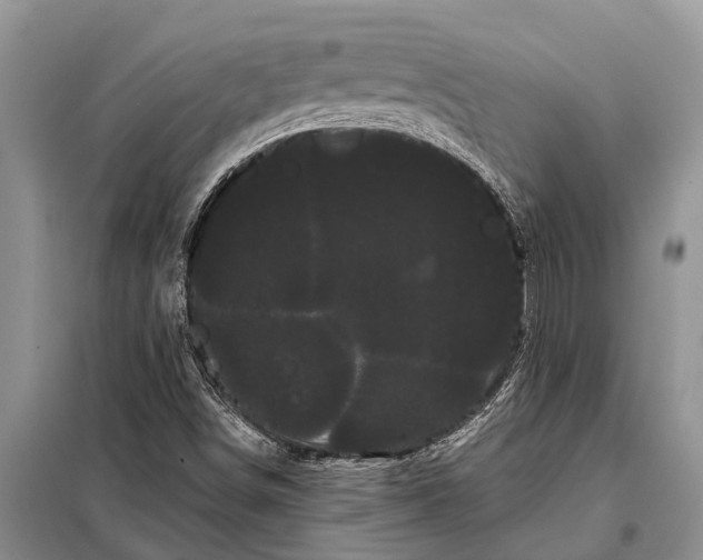 X0000097971498200804071044