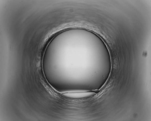 X0000097971499200804071044