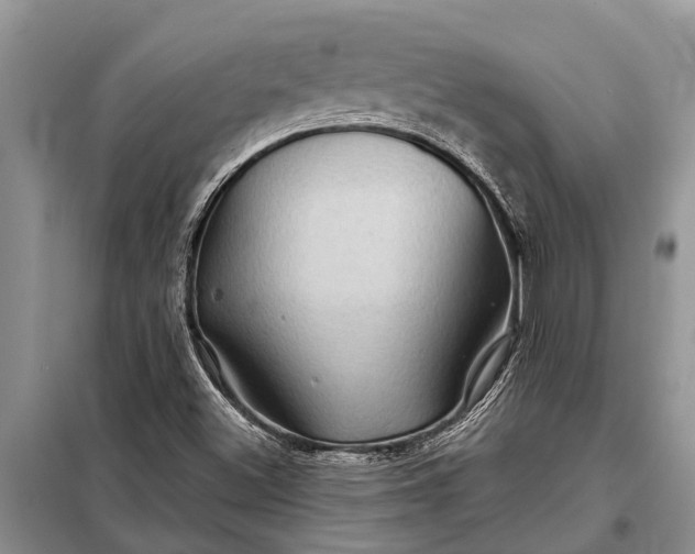 X0000097971500200804071044