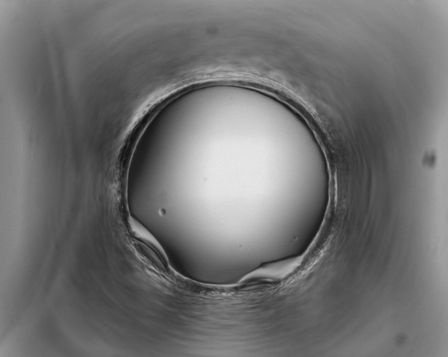 X0000097971501200804071044