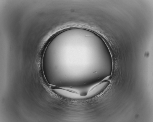 X0000097971503200804071044