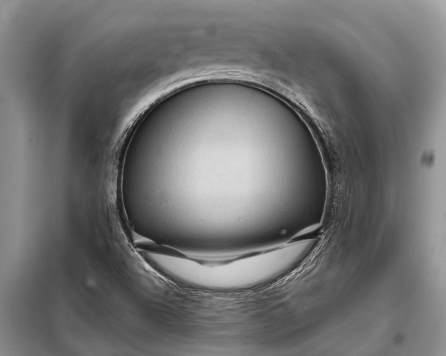 X0000097971504200804071044