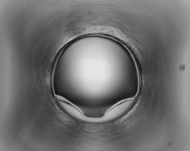 X0000097971505200804071044