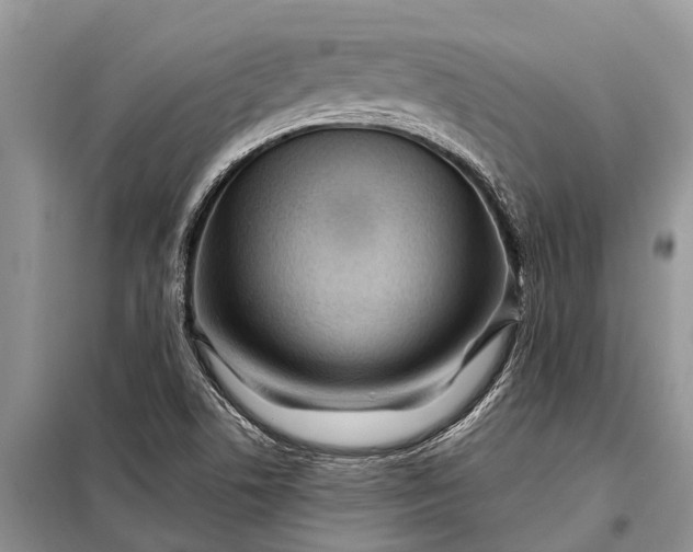 X0000097971506200804071044