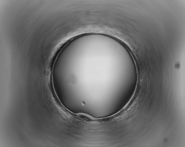 X0000097971507200804071044