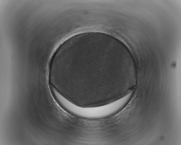 X0000097971508200804071044