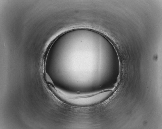 X0000097971510200804071044