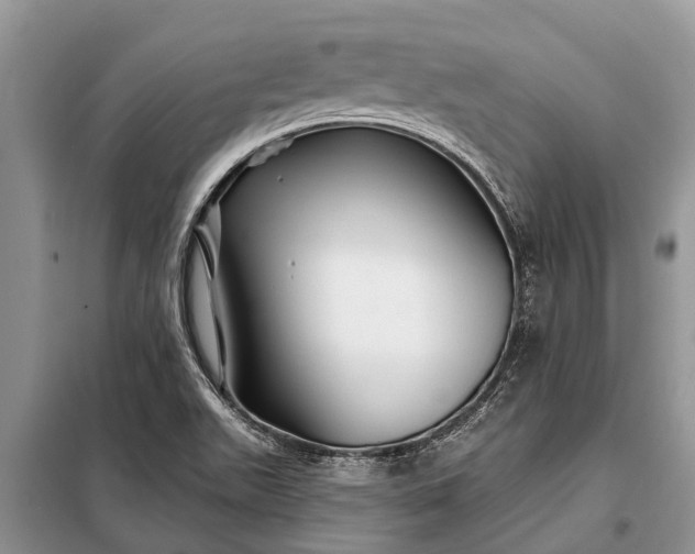 X0000097971511200804071044