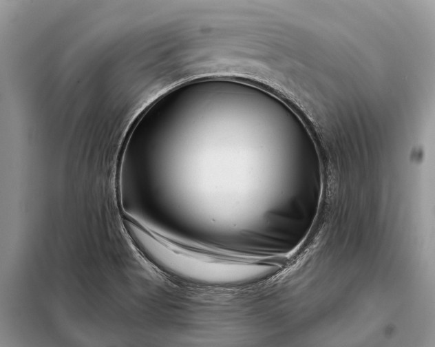 X0000097971513200804071044