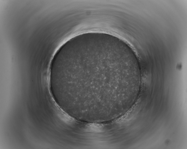 X0000097971514200804071044