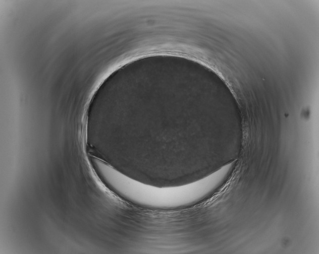 X0000097971515200804071044