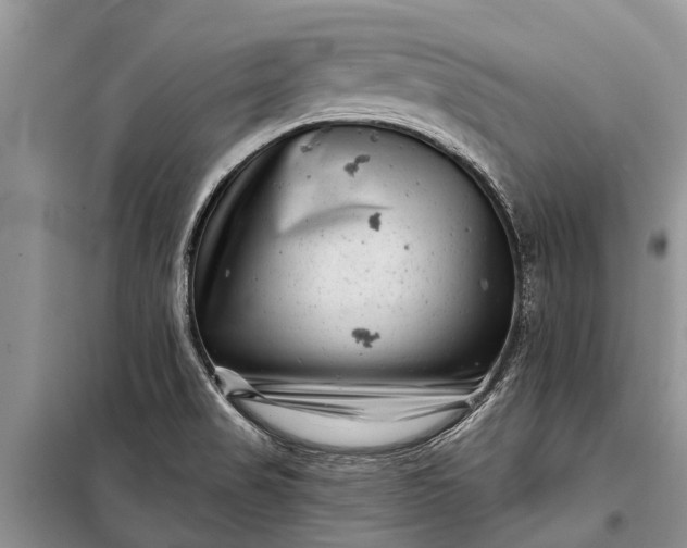 X0000097971517200804071044