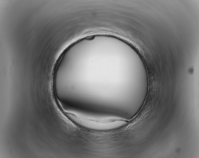 X0000097971518200804071044