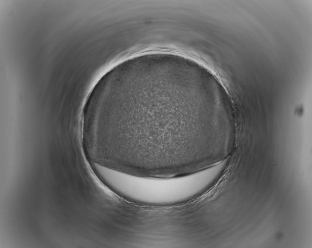 X0000097971519200804071044