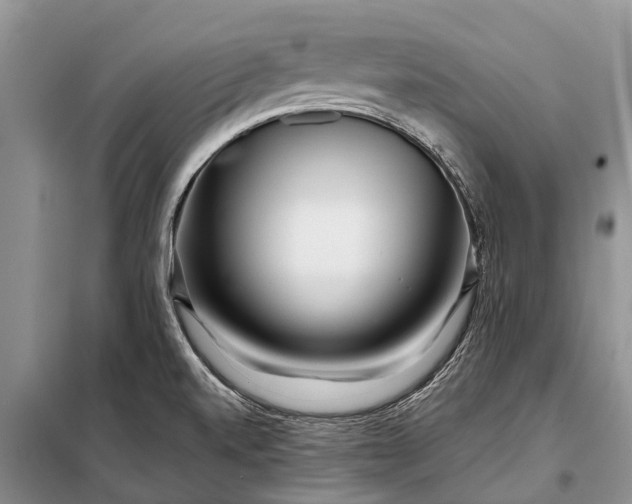 X0000097971520200804071044