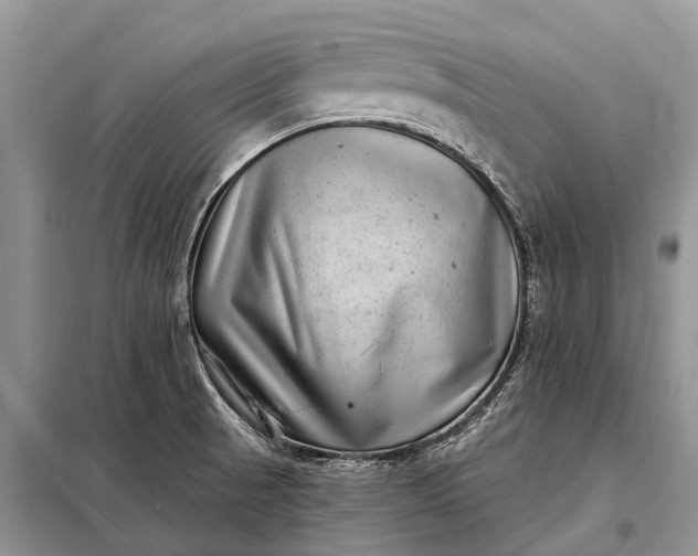 X0000097971521200804071044