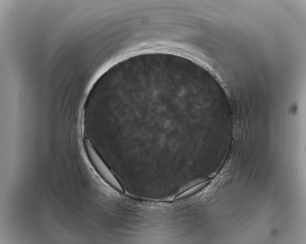 X0000097971522200804071044