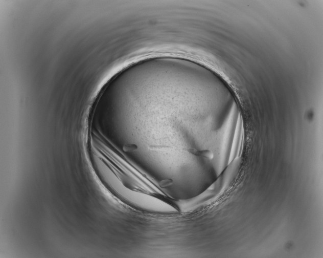 X0000097971523200804071044