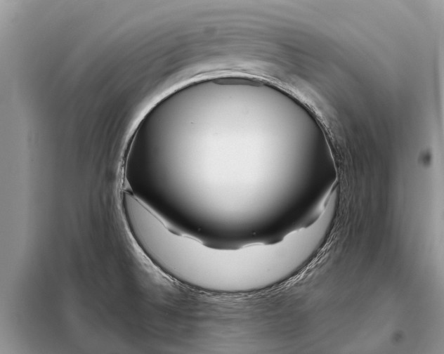 X0000097971524200804071044