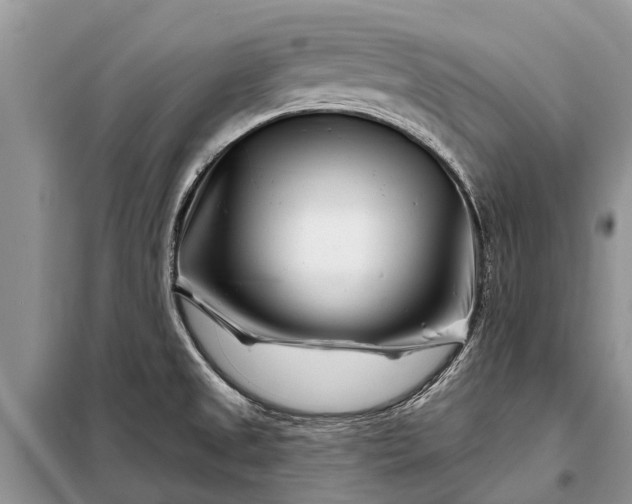 X0000097971525200804071044