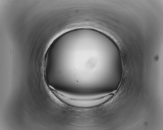 X0000097971526200804071044