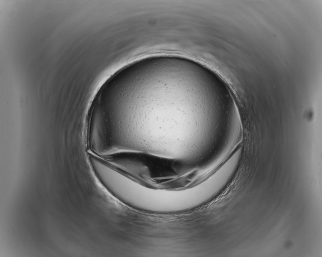 X0000097971527200804071044