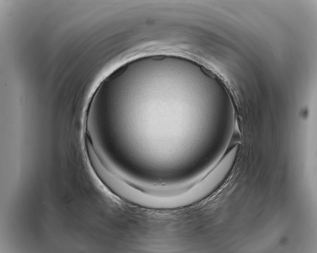 X0000097971528200804071044