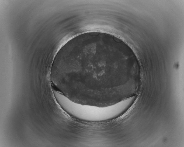 X0000097971529200804071044