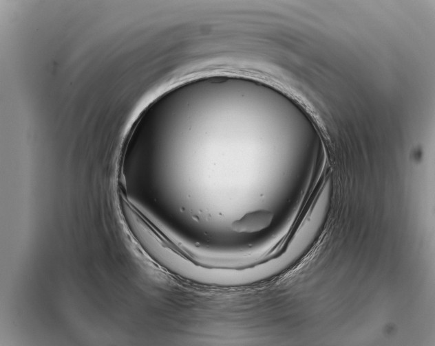 X0000097971530200804071044