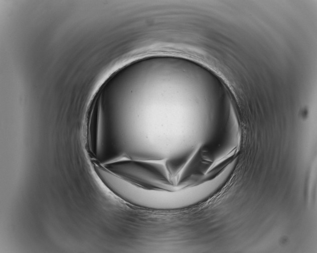 X0000097971531200804071044