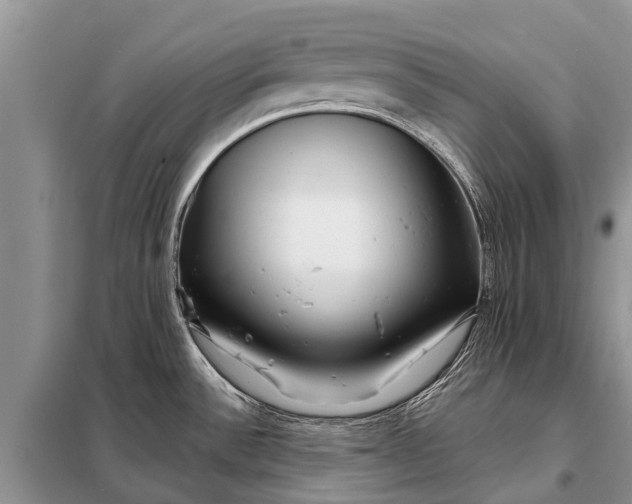 X0000097971532200804071044