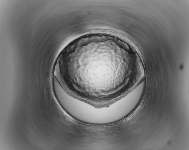 X0000097971533200804071044