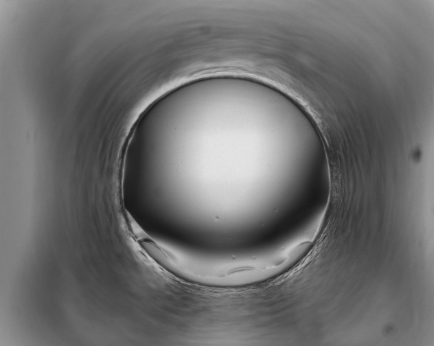 X0000097971534200804071044