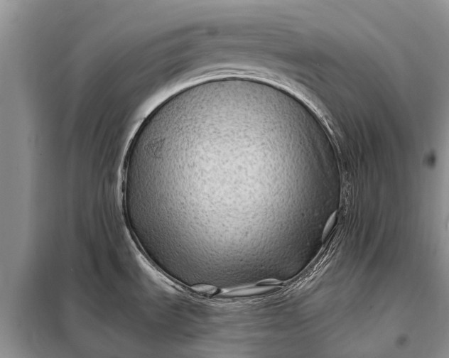 X0000097971535200804071044