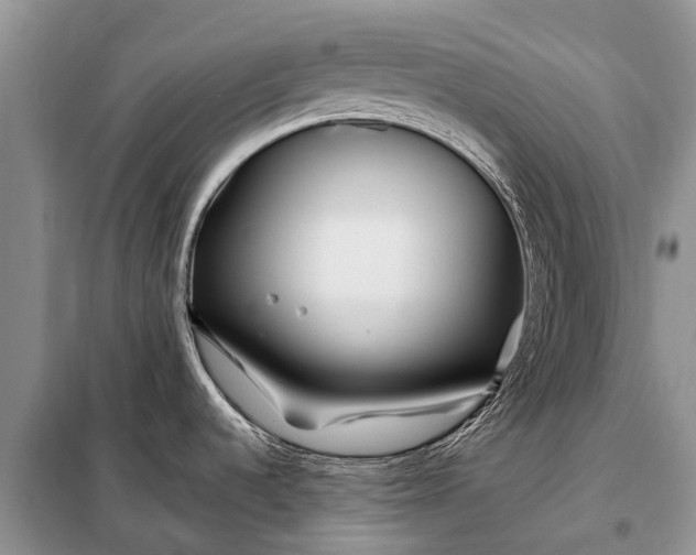 X0000097971536200804071044