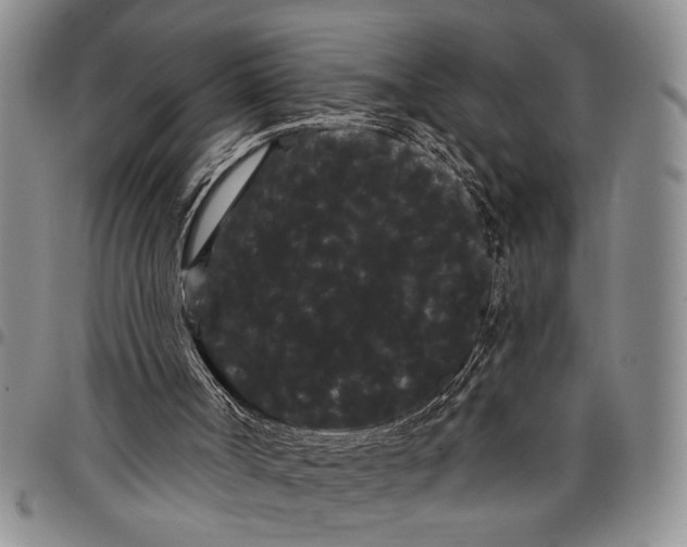 X0000097970002200804141105