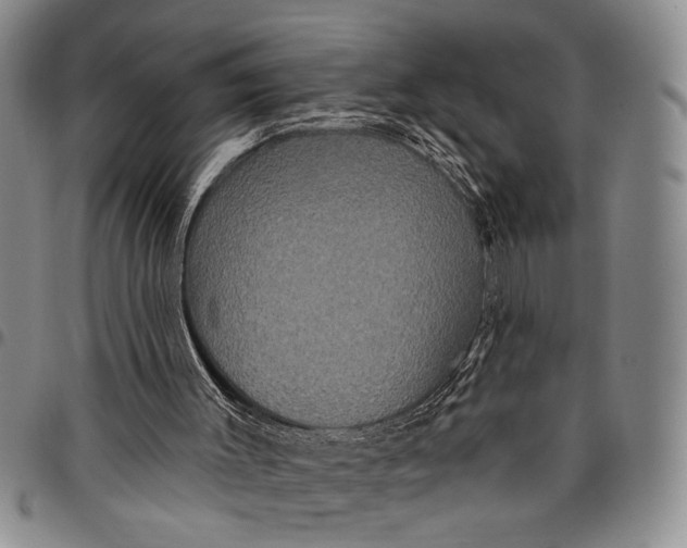 X0000097970003200804141104