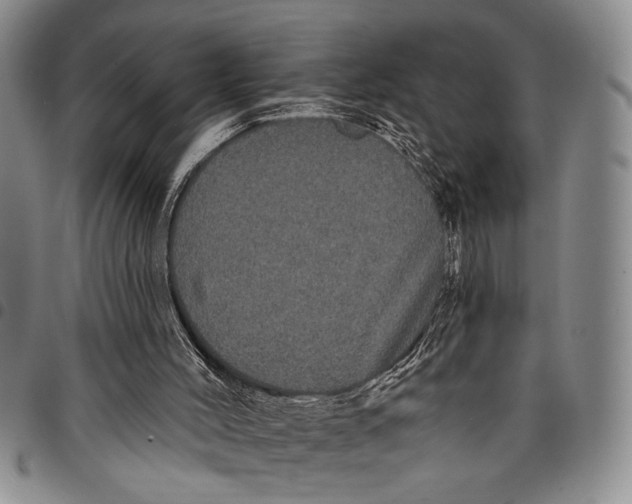 X0000097970004200804141104