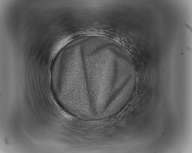 X0000097970005200804141104