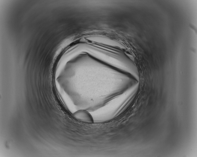 X0000097970006200804141104