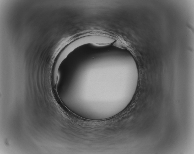 X0000097970007200804141104
