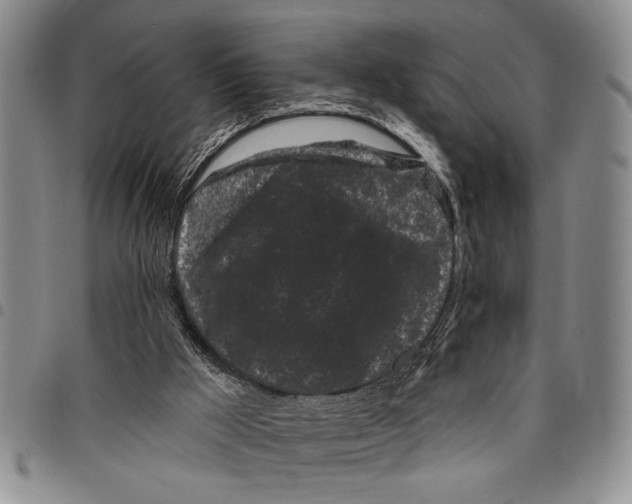 X0000097970009200804141104