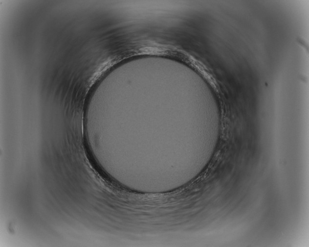 X0000097970011200804141104