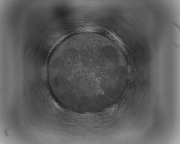 X0000097970012200804141104
