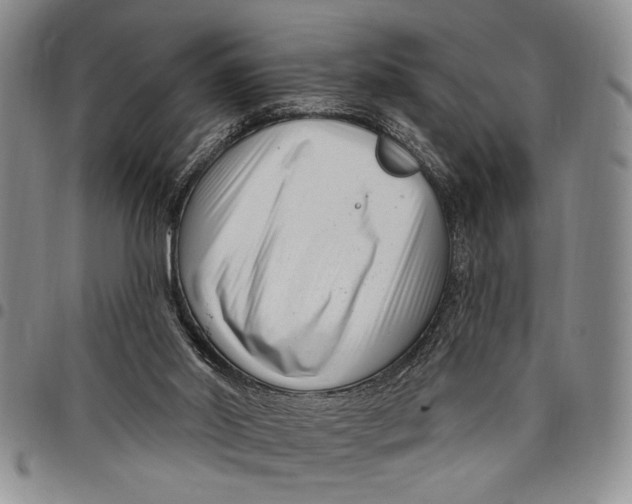 X0000097970014200804141104