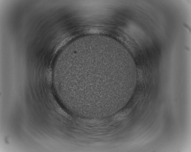 X0000097970016200804141104