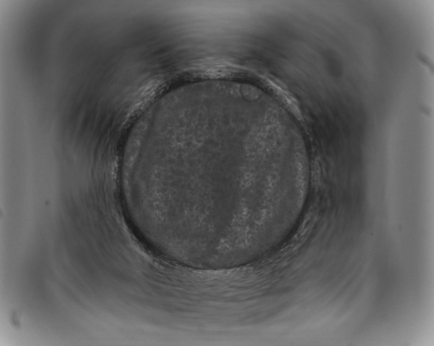 X0000097970018200804141104