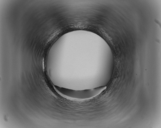 X0000097970020200804141104