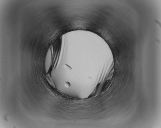 X0000097970021200804141104