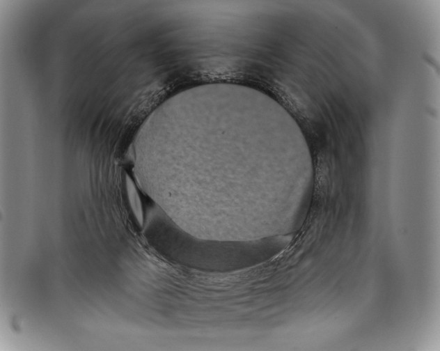 X0000097970025200804141104